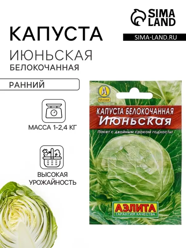 Семена Капуста белокочанная &laquo;Июньская&raquo;, 0.5 г, &laquo;Аэлита&raquo;