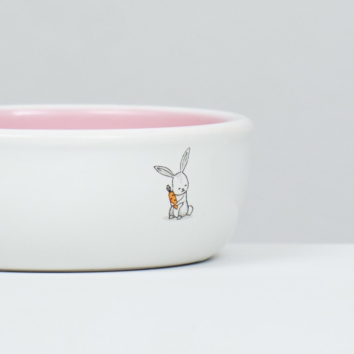 Миска керамическая для кроликов 200 мл 10 х 3,7 см, розовая/белая Миска керамическая для кроликов 200 мл 10 х 3,7 см, розовая/белая