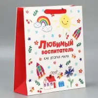 Набор пакетов "Любимый воспитатель", 3шт, M 30 &times; 26 &times; 9 см