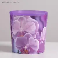 Кашпо для цветов «Орхидея», 1,6 л, 14 х 14 см Кашпо для цветов «Орхидея», 1,6 л, 14 х 14 см