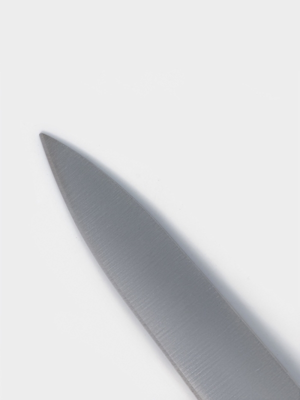 Нож кухонный для овощей Доляна Venus, лезвие 9.5 см, нержавеющая сталь, красный Нож кухонный для овощей Доляна Venus, лезвие 9.5 см, нержавеющая сталь, красный