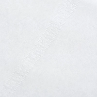 Салфетки бумажные Luscan Professional N4 2сл V слож 200л/уп