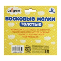 Карандаши восковые 12 цветов, утолщенные, 93 х 11 мм, Calligrata, в картонной коробе