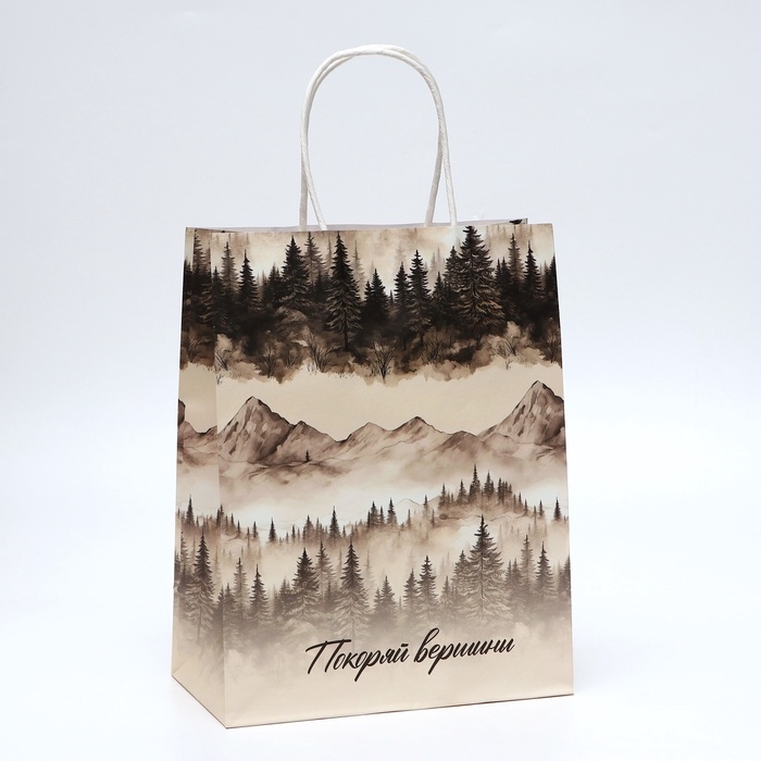 Пакет подарочный крафтовый  Пакет подарочный крафтовый "Покоряй вершины" 27 х 22 х 11 см, 120 г/м²