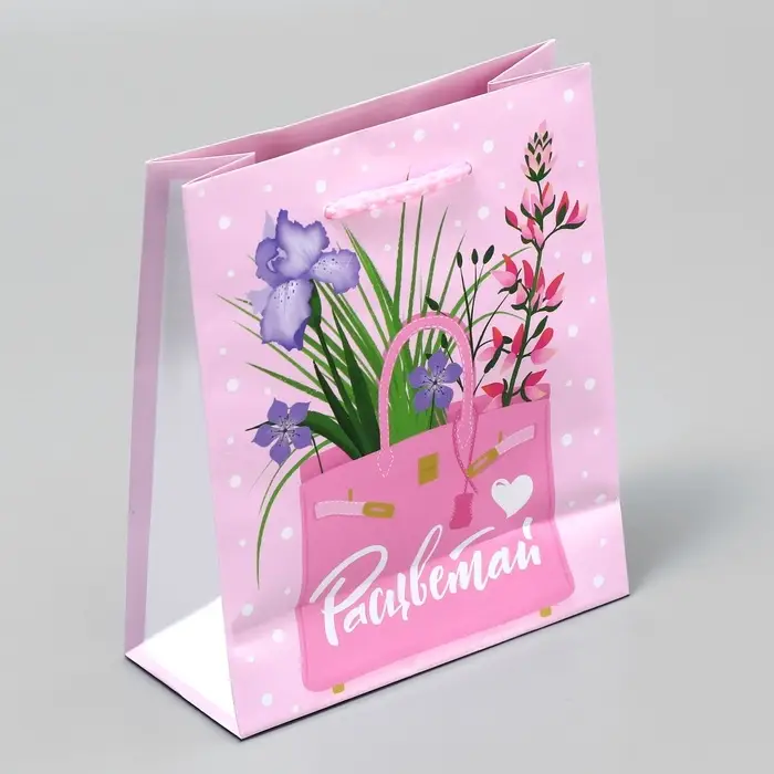 Пакет подарочный ламинированный, упаковка, «Расцветай», S 12 х 15 х 5.5 см Пакет подарочный ламинированный, упаковка, «Расцветай», S 12 х 15 х 5.5 см