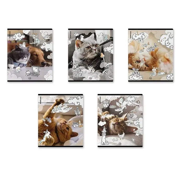Тетрадь 48 листов в клетку ErichKrause Dream Cat, 60 г/м&sup2;, обложка мелованный картон, МИКС
