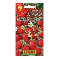 Набор семян Земляника "Али Баба" ремонтантная, 5 шт. Набор семян Земляника "Али Баба" ремонтантная, 5 шт.