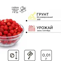Семена Земляника ремонтантная &laquo;Сан Андреас&raquo;, 0.01 г, &laquo;Престиж семена&raquo;