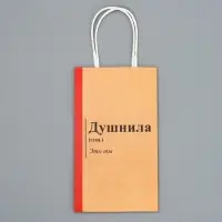 Пакет подарочный крафтовый, упаковка, «Душнила», 12 х 21 х 9 см