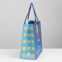 Пакет подарочный, упаковка, &laquo;Львёнок в кармашке&raquo;, 23 х 9