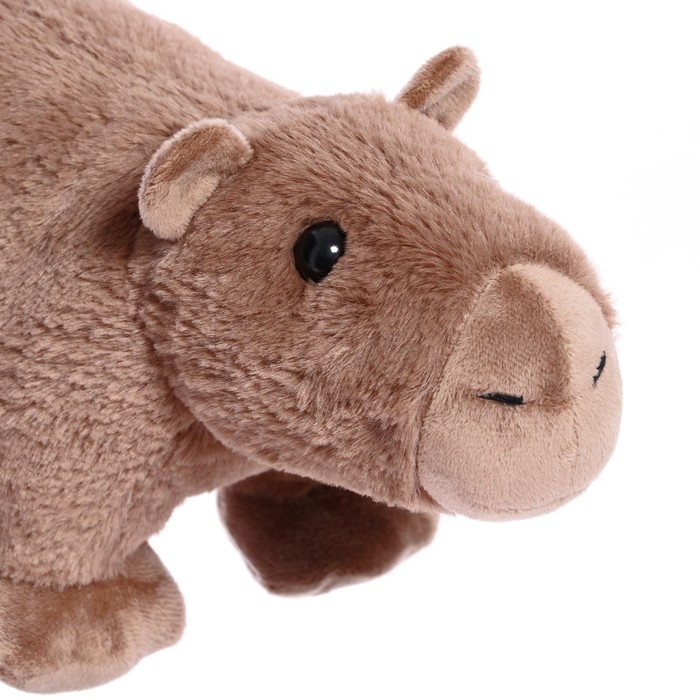 Мягкая игрушка «Капибара», 31 см