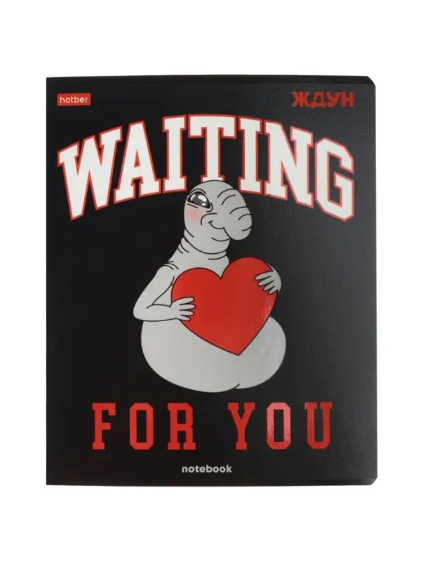 Тетрадь 48л кл Hatber "ЖДУН", на скобе, скругл углы, выб лак, 60-65г/м&sup2; 5В МИКС