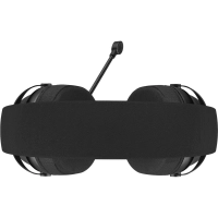 Гарнитура Acer AHW122 (ZL.HDSCC.01U) 2.1м/мониторные/USB/черный