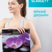 Весы