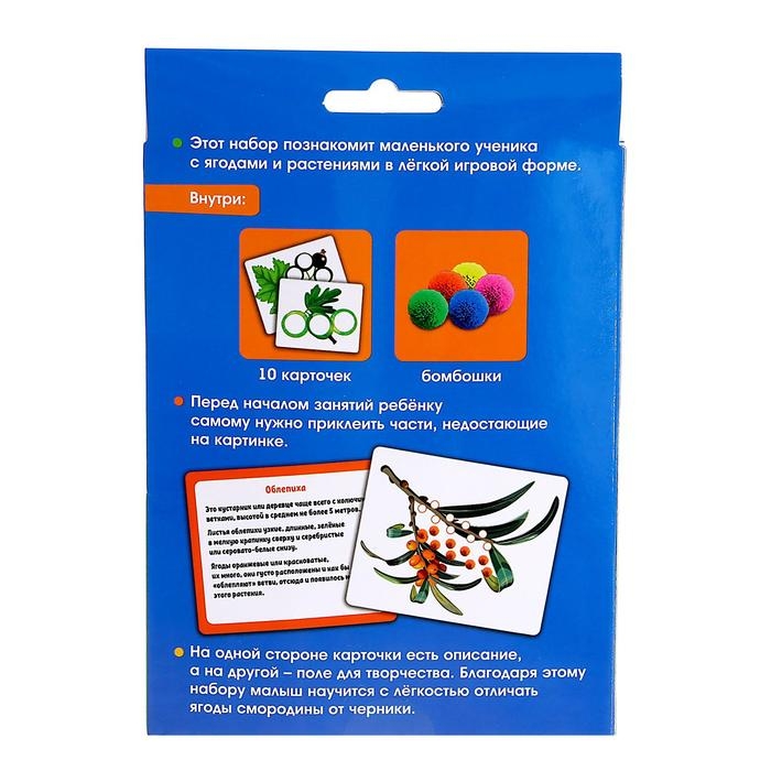 Развивающий набор «Учим растения» Развивающий набор «Учим растения»