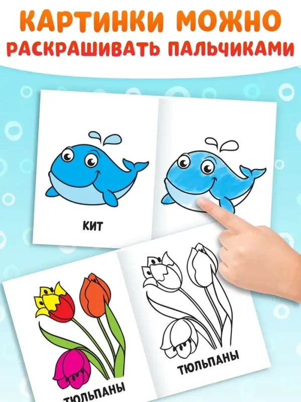 Раскраски набор &laquo;Мои первые раскраски&raquo;, 12 шт. по 16 стр.