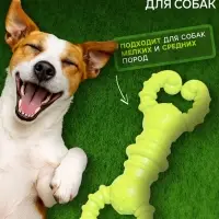 Игрушка для собак резиновая &laquo;Гантель-крабы&raquo;, TPR, 11.5&times;2 см, жёлтая