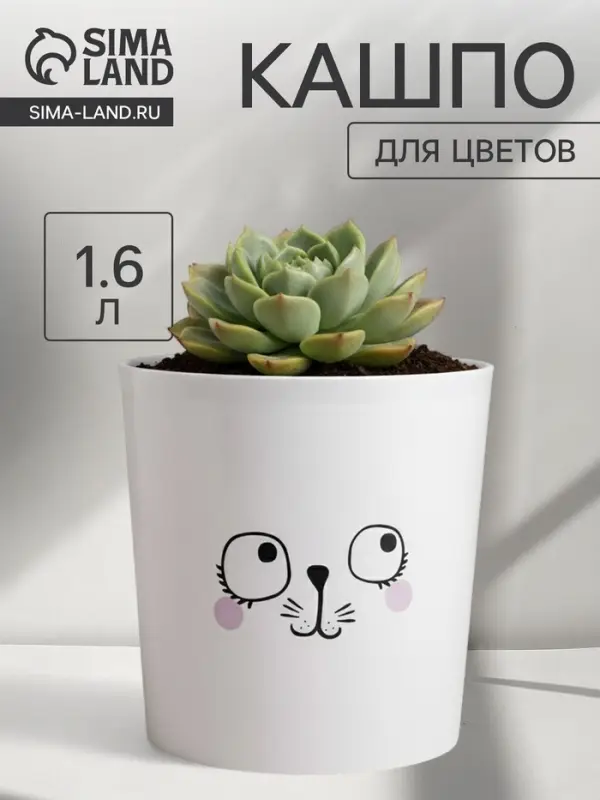 Кашпо для цветов &laquo;Мордочка&raquo;, 1.6 л, d=14 см, h=14 см, пластиковое