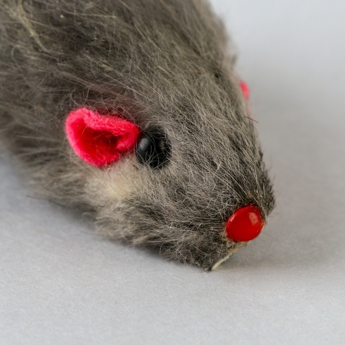 Игрушка для кошек лазер+мышь «Теперь котик ты» Игрушка для кошек лазер+мышь «Теперь котик ты»