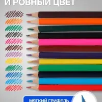 Карандаши Calligrata цветные, 12 цветов, деревянные, трёхгранные, в картонной коробке