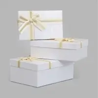 Набор подарочных коробок 3 в 1, прямоугольные 23&times;16&times;9.5 21&times;14&times;8.0 19&times;12&times;6.5 см