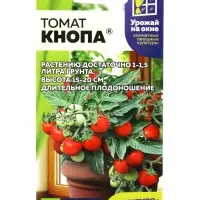 Семена Томат &laquo;Кнопа&raquo;, детерминантный, низкорослый, 5 шт., &laquo;Семена Алтая&raquo;