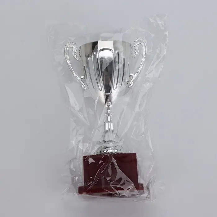 Кубок 045, наградная фигура, серебро, подставка пластик, 20 см
