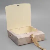 Коробка подарочная складная, упаковка, &laquo;Present&raquo;, 20&times;18&times;5 см