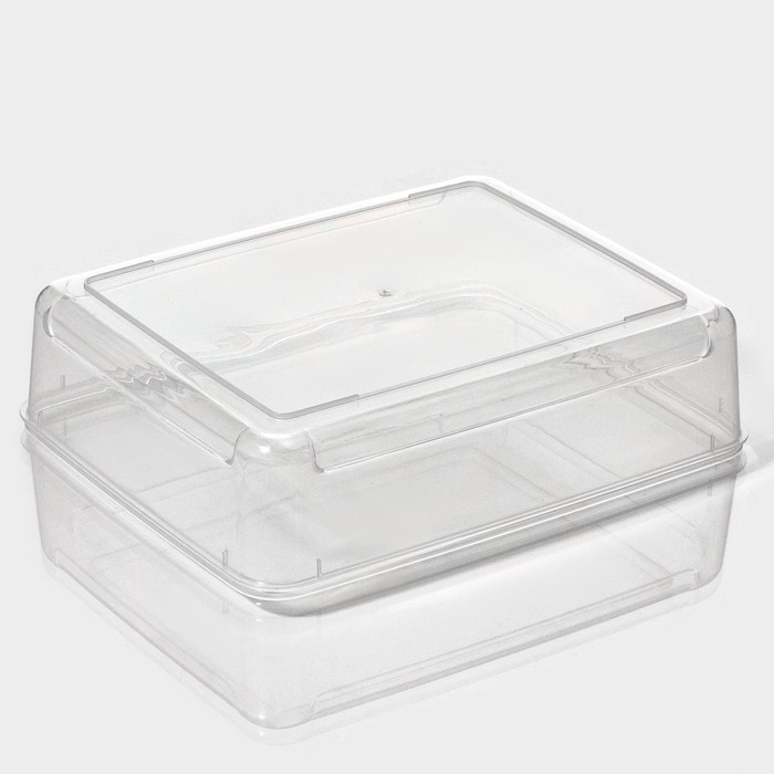 Контейнер для хранения яиц Доляна, 20 ячеек, 27,5×22×7 см, цвет МИКС