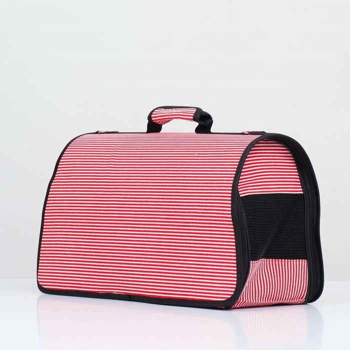 Сумка-переноска с органайзером в полоску, размер L, 47 х 27 х 23 см Сумка-переноска с органайзером в полоску, размер L, 47 х 27 х 23 см
