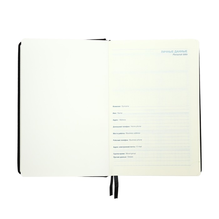 Ежедневник датированный 2025 года, A5, 168 листов в линейку, кожзам  Ежедневник датированный 2025 года, A5, 168 листов в линейку, кожзам "Небраска", золотой срез, черный