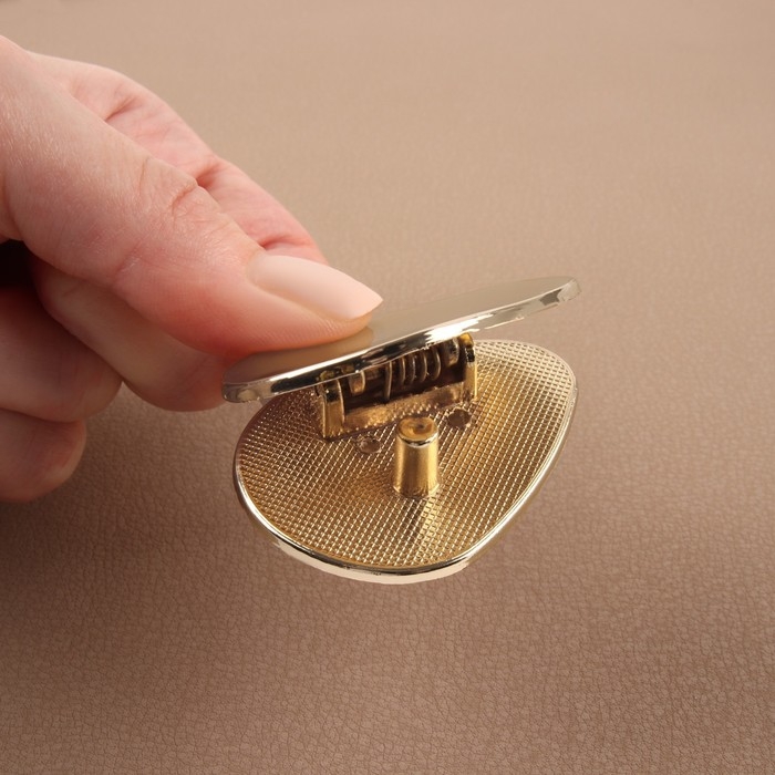 Застёжка для сумки, 4,8 × 3,5 см, цвет золотой Застёжка для сумки, 4,8 × 3,5 см, цвет золотой