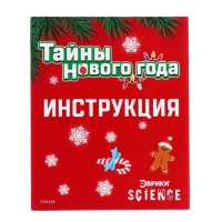 Набор для опытов «Тайны Нового Года», кролик