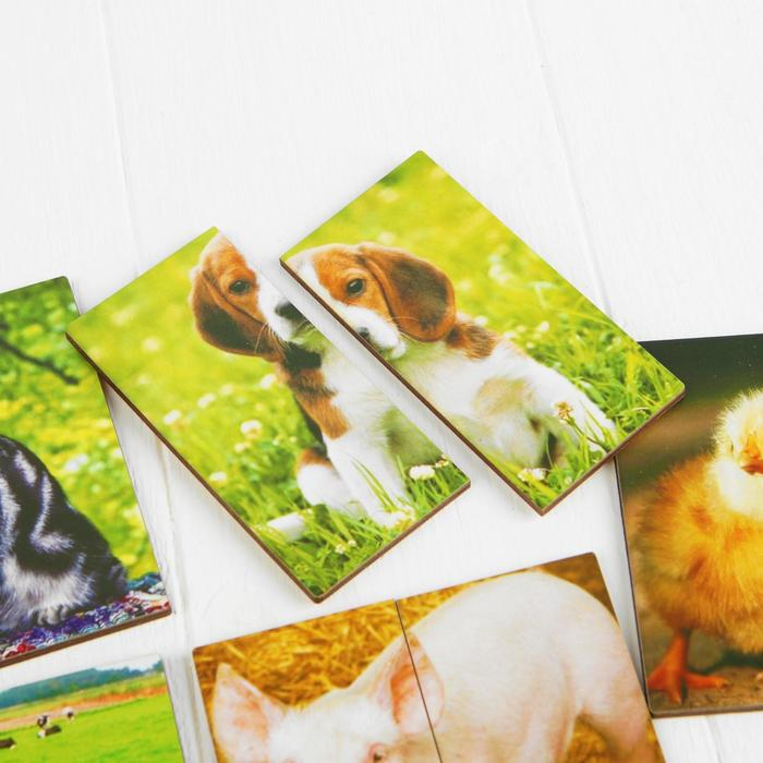 Картинки-половинки «Домашние животные» Картинки-половинки «Домашние животные»