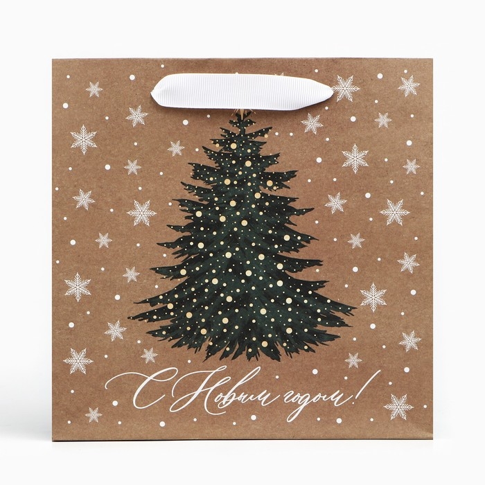 Пакет подарочный новогодний крафтовый квадратный «Новогодняя красавица», 22 х 22 х 11 см, Новый год Пакет подарочный новогодний крафтовый квадратный «Новогодняя красавица», 22 х 22 х 11 см, Новый год