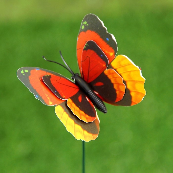 Штекер Штекер "Бабочка Дельфиус" 25см, набор 6шт, МИКС