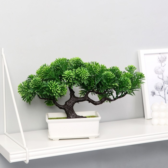 Бонсай Бонсай "Звёздник" 16х22 см, микс