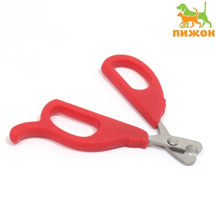 Ножницы-когтерезы малые с упором для пальца, 10 х 5 х 0,5 см, эконом, микс цветов Ножницы-когтерезы малые с упором для пальца, 10 х 5 х 0,5 см, эконом, микс цветов