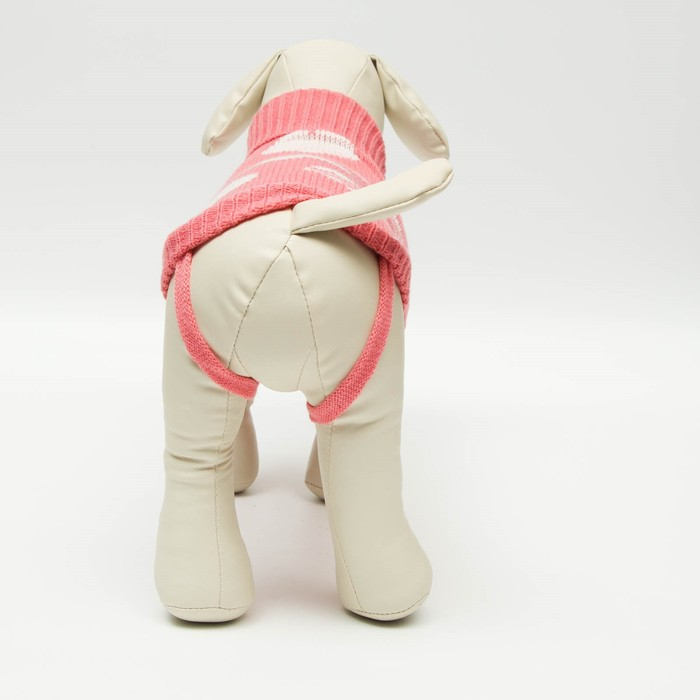 Свитер, размер 14 (ДС 40-55, ОШ 20-35, ОГ 36-51 см), микс расцветок Свитер, размер 14 (ДС 40-55, ОШ 20-35, ОГ 36-51 см), микс расцветок