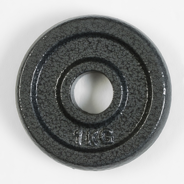 Диск 1 кг, d=29 мм Диск 1 кг, d=29 мм