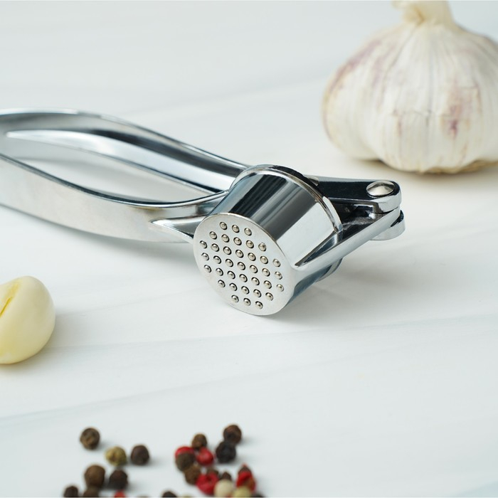 Пресс для чеснока Доляна «Эрнест», 15 см, цвет серебряный Пресс для чеснока Доляна «Эрнест», 15 см, цвет серебряный