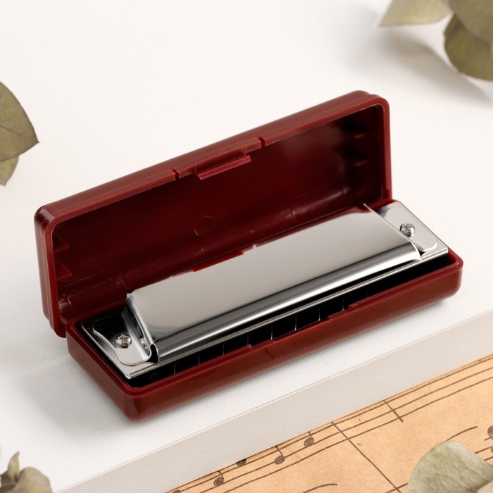 Губная гармошка Music Life T10 C диатоническая, 10 отверстий, с футляром Губная гармошка Music Life T10 C диатоническая, 10 отверстий, с футляром