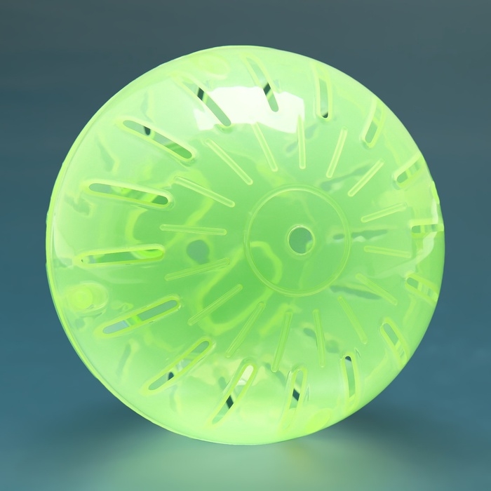 Шар для грызунов 12 см, зелёный Шар для грызунов 12 см, зелёный