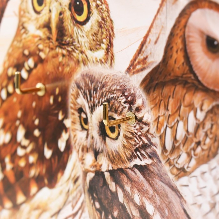 Ключница открытая Ключница открытая "Совы" 5 крючков, 23х32 см