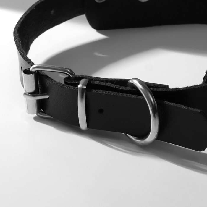 Чокер «Искушение» шипы длинные, цвет чёрный в серебре, 42 см Чокер «Искушение» шипы длинные, цвет чёрный в серебре, 42 см