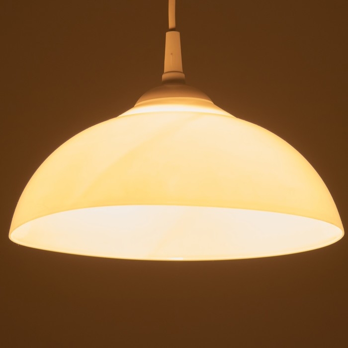 Люстра Люстра "Хоста" 1х15Вт Е27 МОДЕЛЬ: BR 00259 белый 29х29х13см