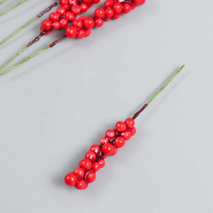 Декор для творчества Декор для творчества "Веточка с ягодами" красный набор 10 шт 1х1х9 см