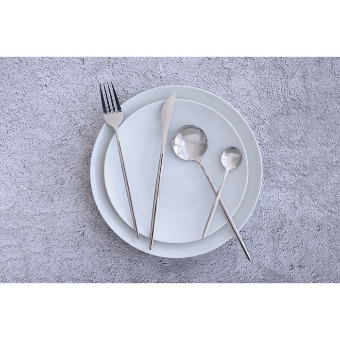 Столовые приборы из нержавеющей стали Magistro «Блинк», 4 предмета, цвет серебряный Столовые приборы из нержавеющей стали Magistro «Блинк», 4 предмета, цвет серебряный