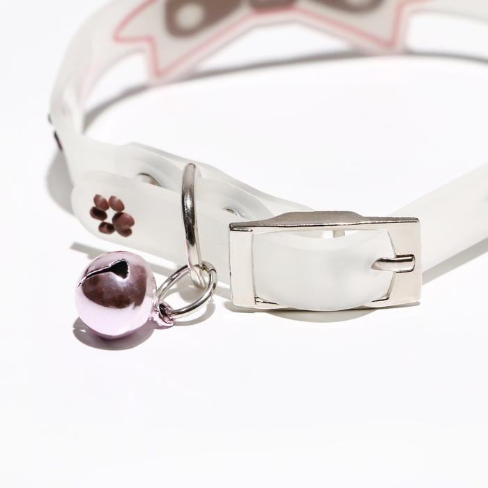 Ошейник Ошейник "Бантик", 28 х 1 см, ОШ 18-24 см, прозрачный/коричневый