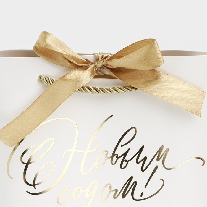 Пакет подарочный новогодний «С Новым годом», 21 х 17 х 7 см Пакет подарочный новогодний «С Новым годом», 21 х 17 х 7 см